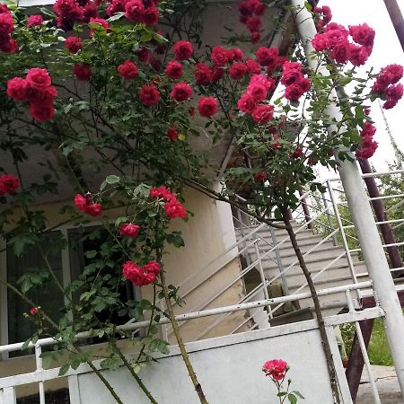 Kvesheti Mti House酒店 外观 照片