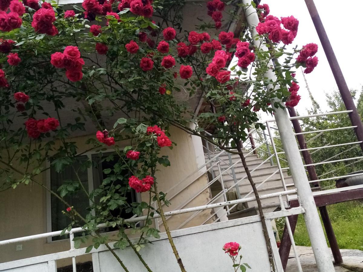 Kvesheti Mti House酒店 外观 照片